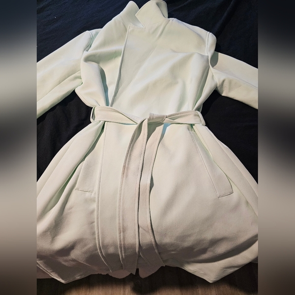 Ann Taylor Factory Trench Coat Jacket Mint Green XL - Picture 3 of 10